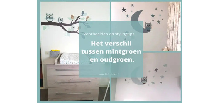 Wat is het verschil tussen mintgroen en oud groen?